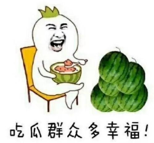 吃瓜娱乐圈费用
