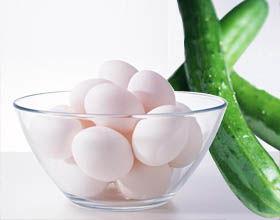 娱乐吃瓜鸡蛋,揭秘娱乐圈背后的趣味故事